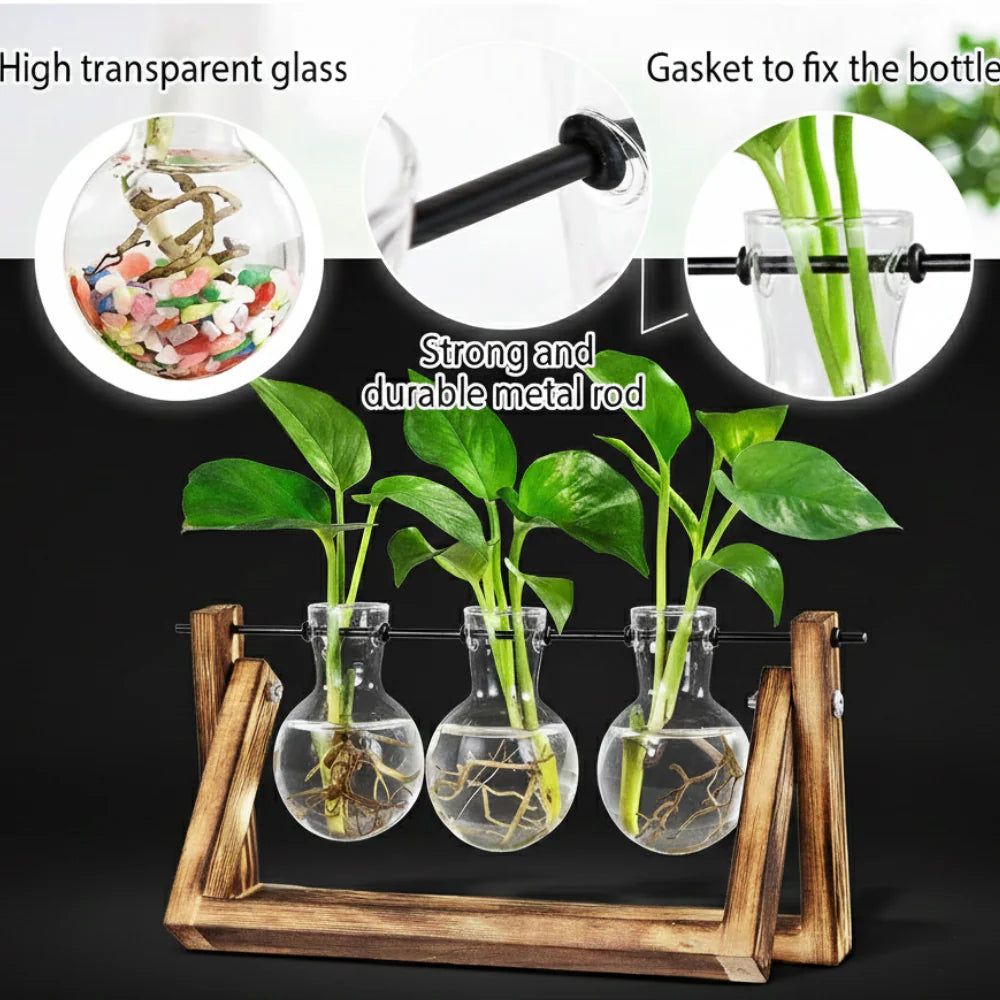 Hydroponic Glass Bulb Vase with Wooden Stand for Elegant Home and Office Decor