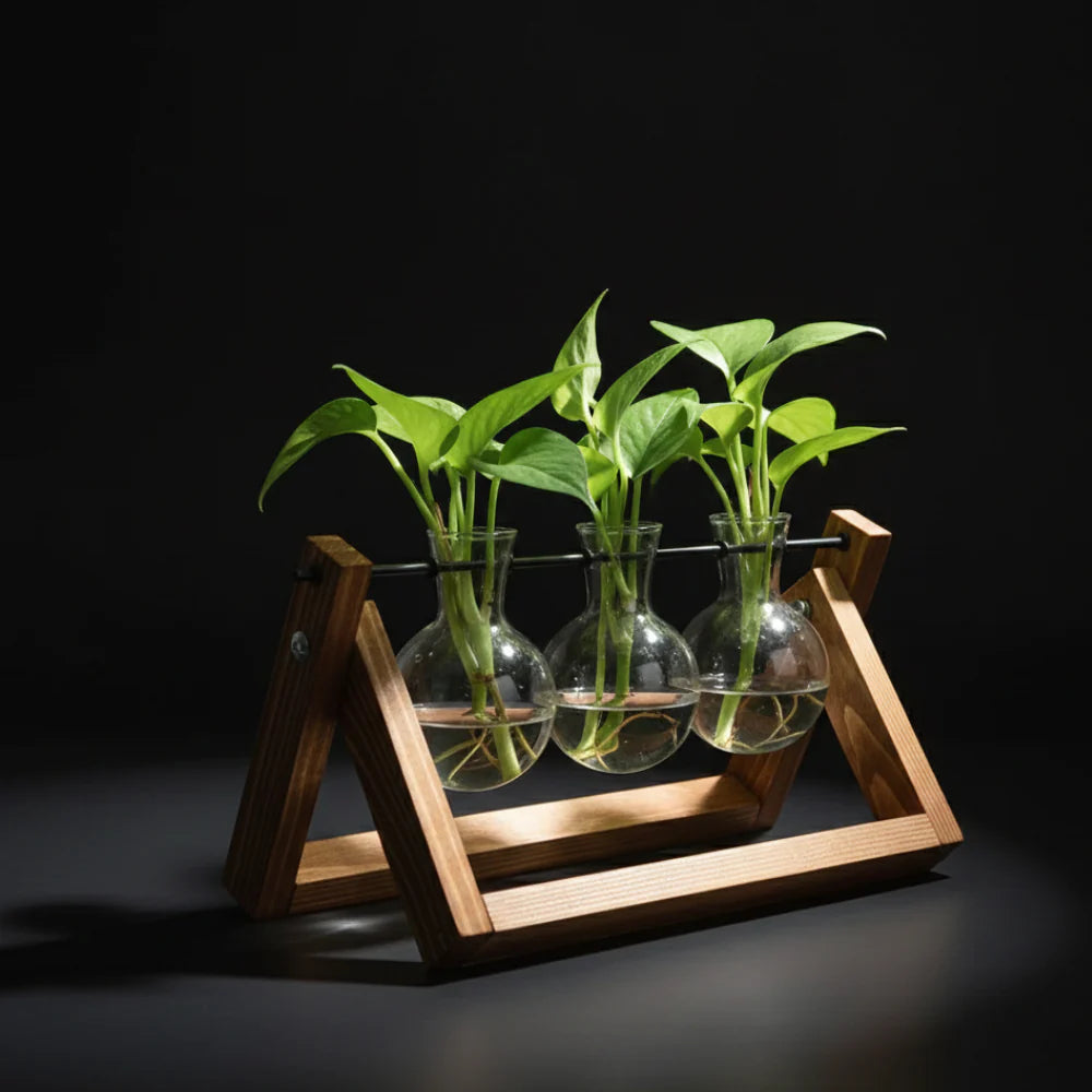 Hydroponic Glass Bulb Vase with Wooden Stand for Elegant Home and Office Decor
