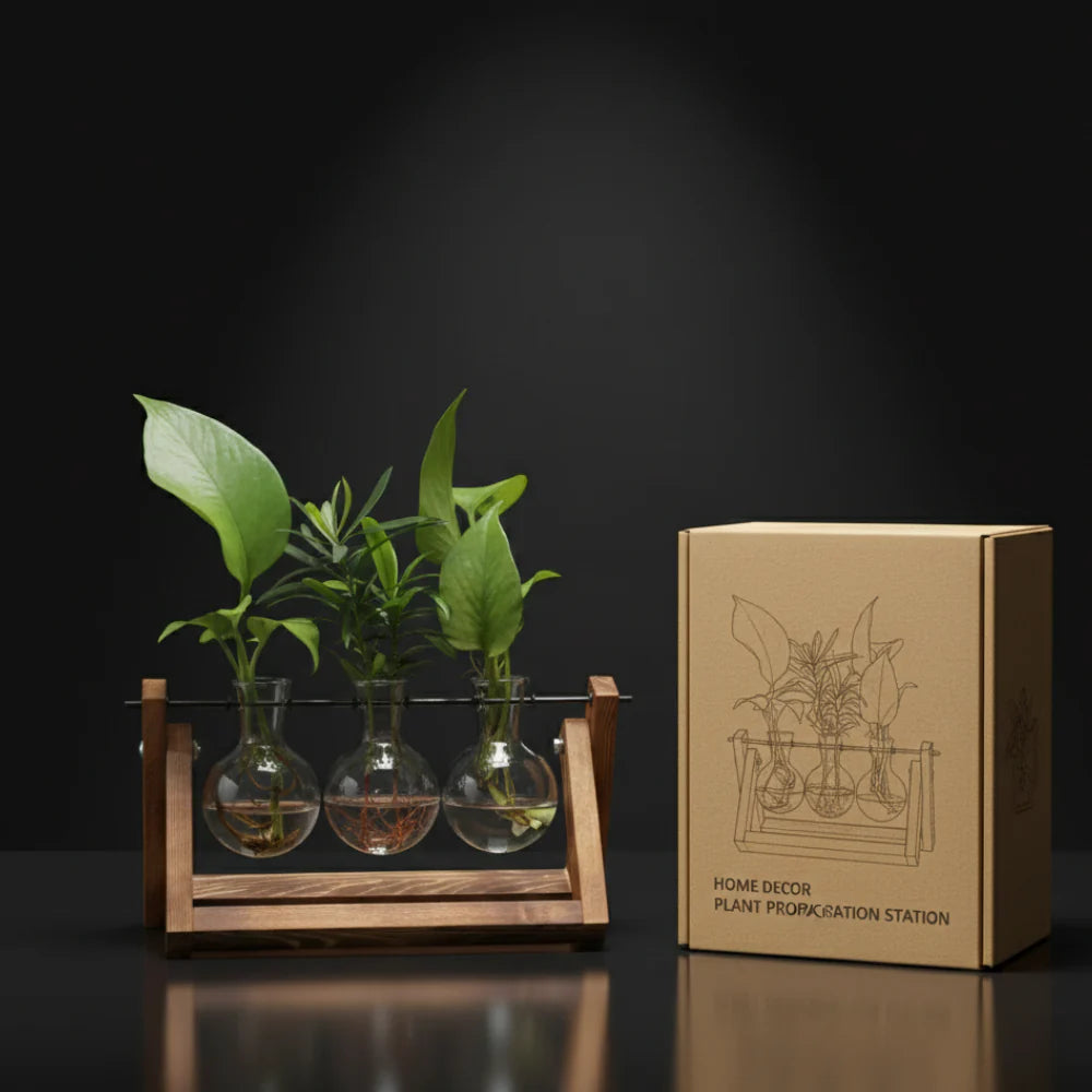 Hydroponic Glass Bulb Vase with Wooden Stand for Elegant Home and Office Decor